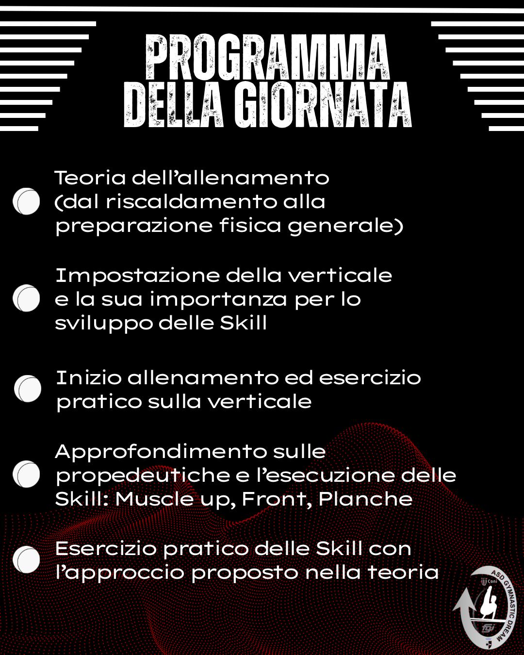 Workshop Calisthenics_programma